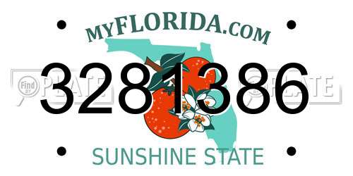 3281386 Florida License Plate