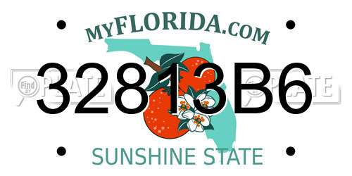 32813B6 Florida License Plate