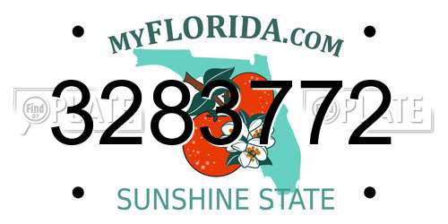 3283772 Florida License Plate