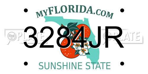 3284JR Florida License Plate