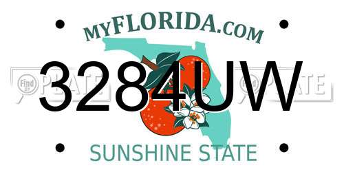 3284UW Florida License Plate