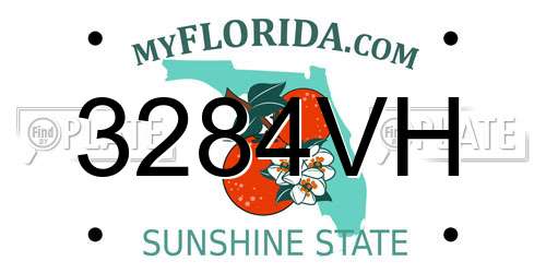 3284VH Florida License Plate