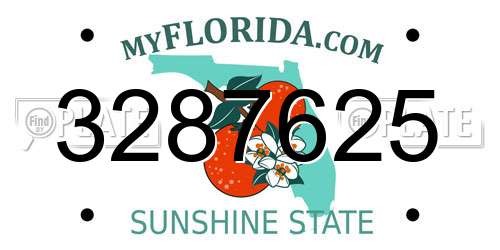 3287625 Florida License Plate