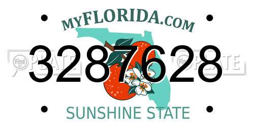 3287628 Florida License Plate