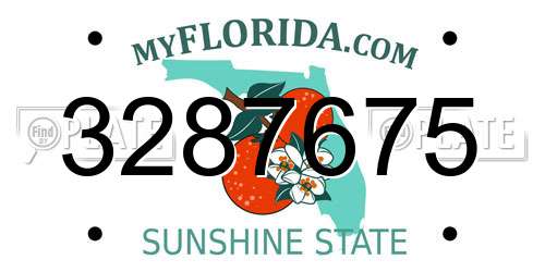 3287675 Florida License Plate