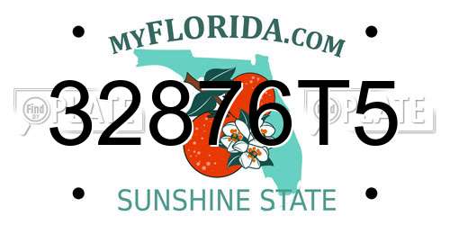 32876T5 Florida License Plate