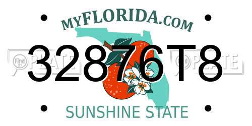 32876T8 Florida License Plate