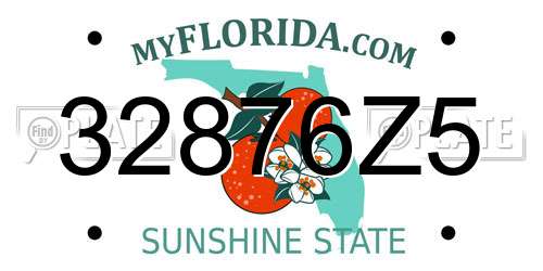 32876Z5 Florida License Plate