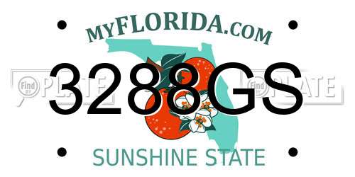 3288GS Florida License Plate