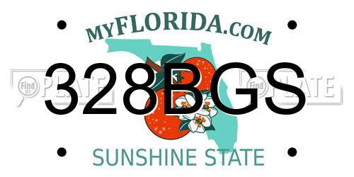 328BGS Florida License Plate