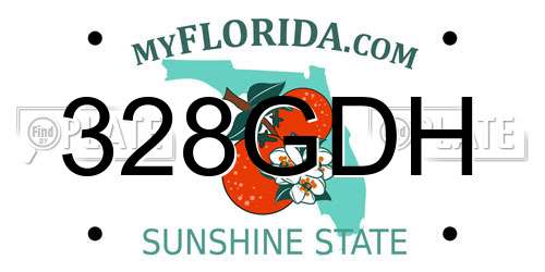 328GDH Florida License Plate