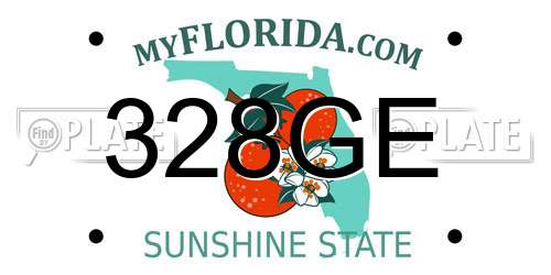 328GE Florida License Plate