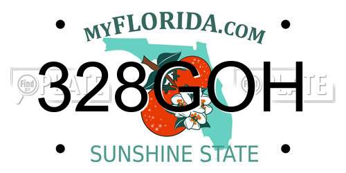 328GOH Florida License Plate