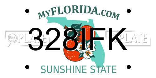 328IFK Florida License Plate
