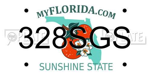 328SGS Florida License Plate