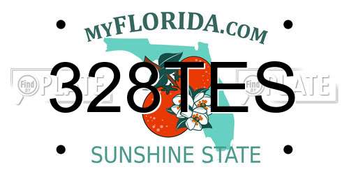 328TES Florida License Plate