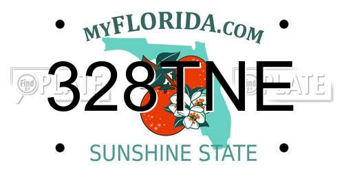 328TNE Florida License Plate