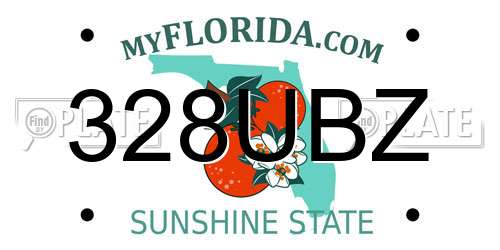 328UBZ Florida License Plate