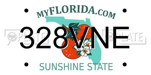 328VNE Florida License Plate