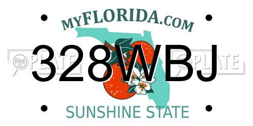 328WBJ Florida License Plate