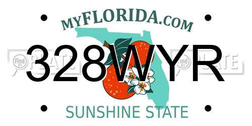 328WYR Florida License Plate