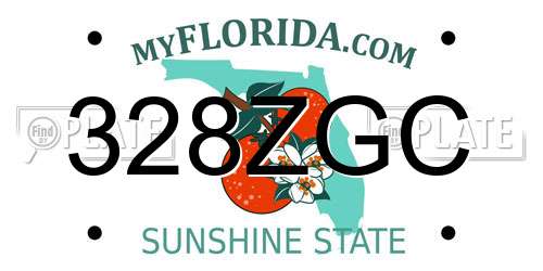 328ZGC Florida License Plate