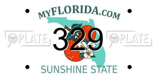 329 Florida License Plate