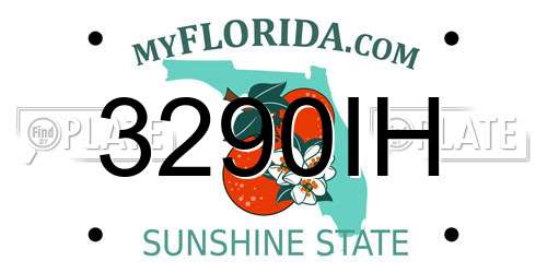 3290IH Florida License Plate