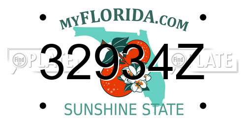 32934Z Florida License Plate