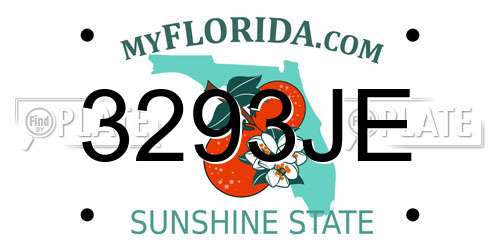 3293JE Florida License Plate