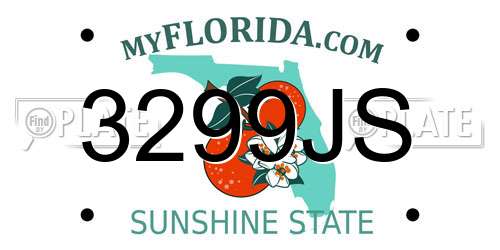 3299JS Florida License Plate