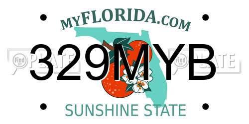 329MYB Florida License Plate