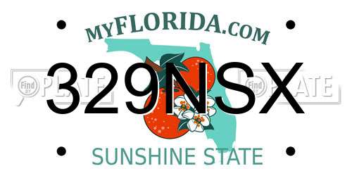 329NSX Florida License Plate