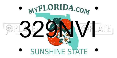 329NVI Florida License Plate