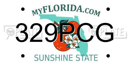 329PCG Florida License Plate
