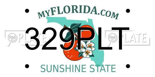 329PLT Florida License Plate