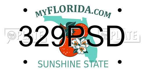 329PSD Florida License Plate