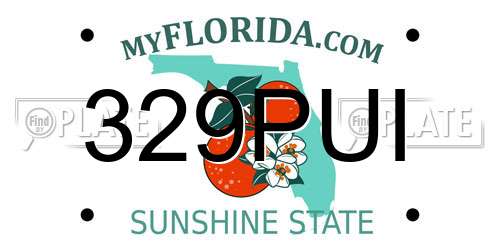 329PUI Florida License Plate