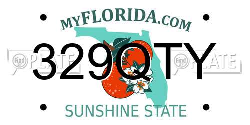 329QTY Florida License Plate