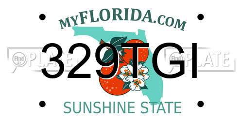 329TGI Florida License Plate