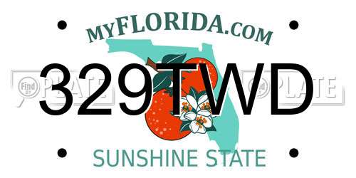 329TWD Florida License Plate