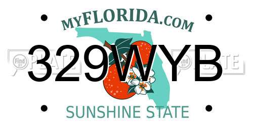 329WYB Florida License Plate