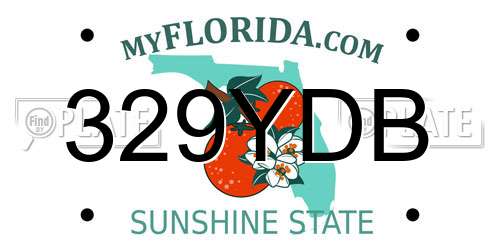 329YDB Florida License Plate