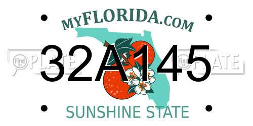 32A145 Florida License Plate