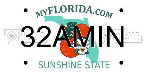 32AMIN Florida License Plate