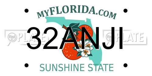 32ANJI Florida License Plate