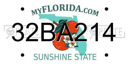 32BA214 Florida License Plate