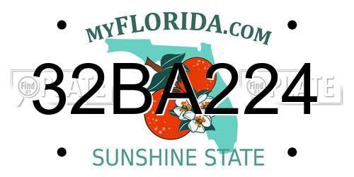 32BA224 Florida License Plate