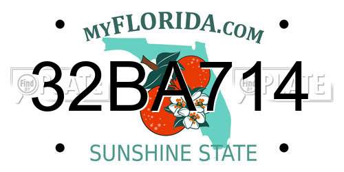 32BA714 Florida License Plate