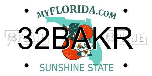 32BAKR Florida License Plate